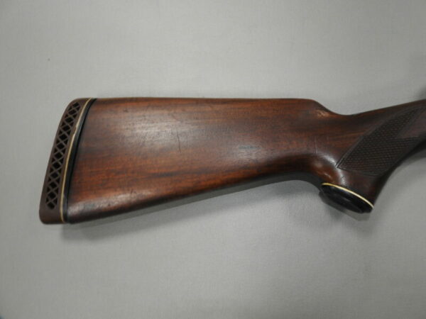 Savage Arms - Image 8