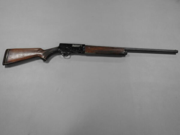 Savage Arms - Image 2