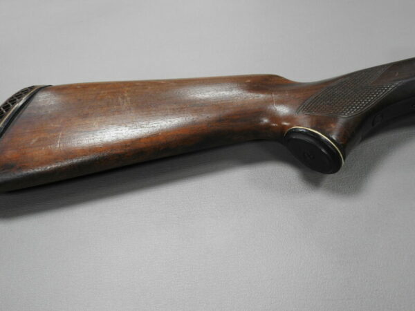 Savage Arms - Image 3