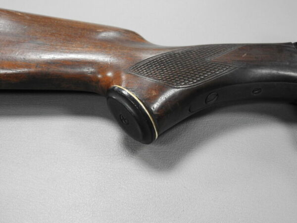 Savage Arms - Image 4