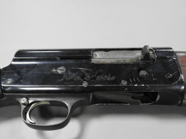 Savage Arms - Image 5