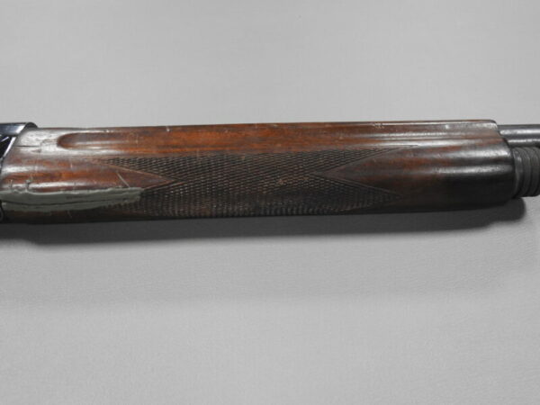Savage Arms - Image 6