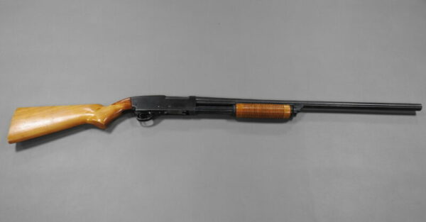 Savage Arms