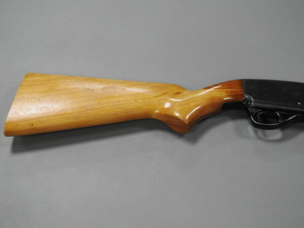 Savage Arms - Image 2