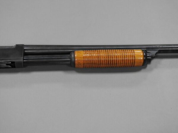 Savage Arms - Image 3