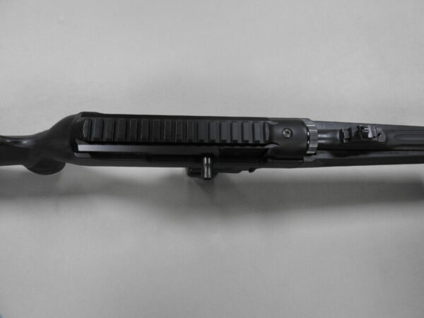 Ruger - Image 10