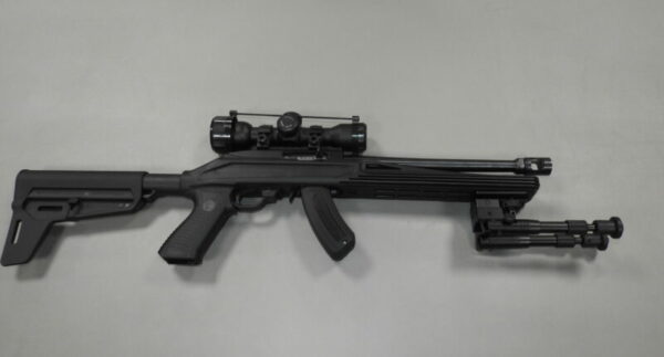 Ruger - Image 8