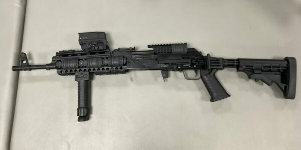 Saiga