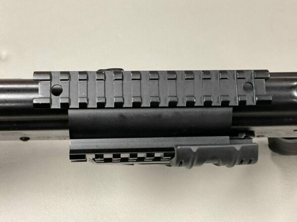 Saiga - Image 6